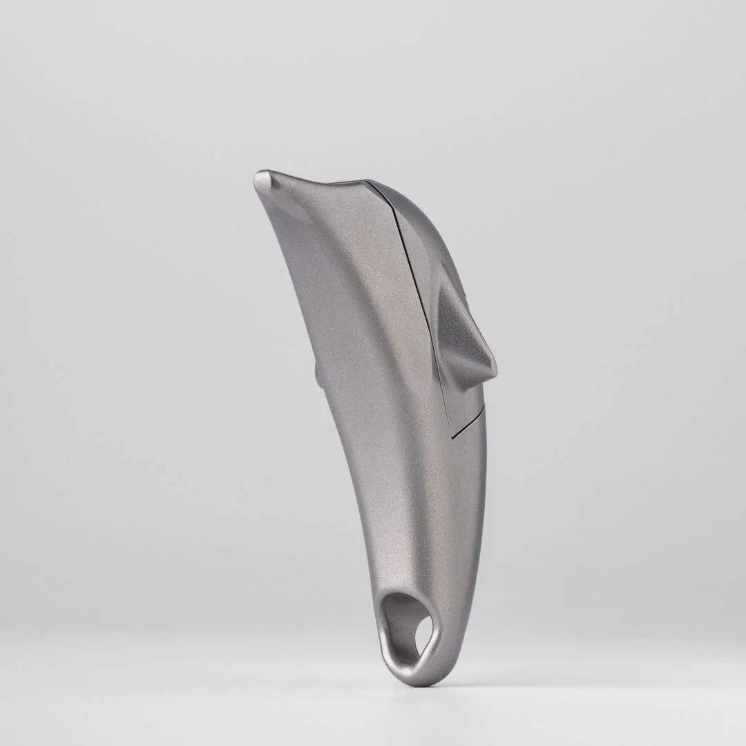 Dolphin - Image 4