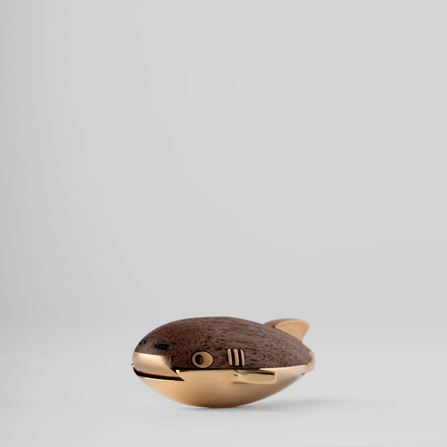 Red Bean Shark - Image 5