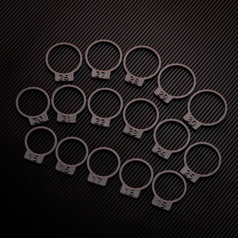Pig Ring-ZHUAN YUN - Image 8